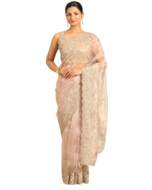 Women's Fawn Organza Embroidered Sequins Saree